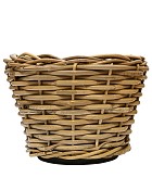 Wicker