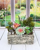 Stone wall Container with Succulents