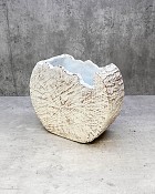 Wood Trunk - White 6.5"H