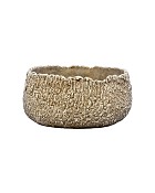Igneous Sand Coloured Container 5.5" x 12"