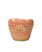 Upright Strawberry Cement Planter 5" x 4.5" Diameter Red