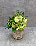 Bark & Blossom - White