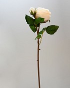 ST-WRO1EN4-CR-19N-2jpg