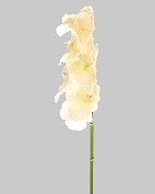 ST-WOR3-WW-365R-3jpg