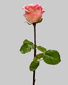 ST-WRO1EQ1-PKP-205R-2