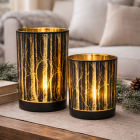 Warm forest glow on coffee table