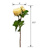 ST-W4ENRO-YL-225R-55