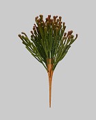 ST-85BNA-GRB-15-2jpg