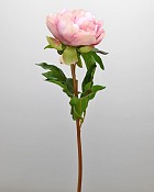 ST-WPE1-DL-205N-3jpg