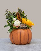 Pumpkin-Patch-Sunflower2