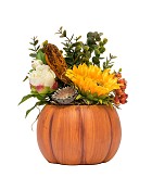 Pumpkin-Patch-Sunflower-6