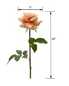 ST-WRO1RD1-PE-20N-55