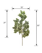 ST-85PNE-GRW-35-55jpg