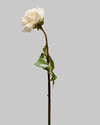 ST-WRO1RD1-LP-205R-3jpg