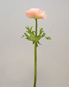 ST-WAE1-RO-175N-222222