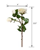 ST-W4ENRO-WH-225R-55