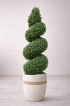 Spiraling topiary in neutral setting