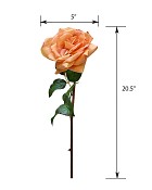 ST-WROE1-PC-205N-55jpg