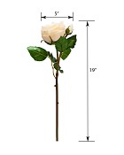 ST-WRO1EN4-CR-19N-55