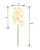 ST-WOR3-WW-365R-55jpg