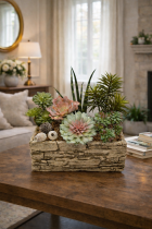 Succulents on a rustic coffee table