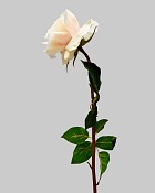 ST-WRO1RD1-CR1-20N-3