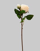 ST-WRO1EN4-CR-19N-2jpg