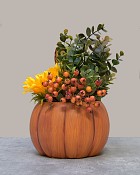 Pumpkin-Patch-Sunflower-4