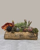 Ceramic Log Planter 12.5"L