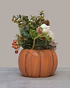 Pumpkin-Patch-Petals-2