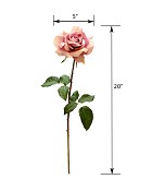 ST-WRO1RD1-LM-20N-55