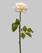 ST-WRO1RD1-LP-205R-2