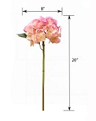 ST-WHY-CRMV-20N-55jpg