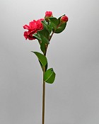 ST-WCA4-RD-285N-5jpg