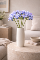Bouquet of Agapanthus on a coffee table