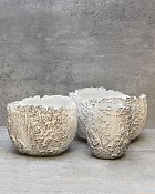 Ceramic Fossil Planter White 6"