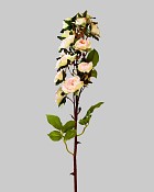 ST-WROM-WHP-185R-2jpg