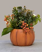 Pumpkin-Patch-Petals-3