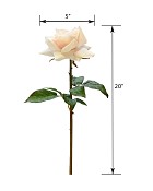 ST-WRO1RD1-CR-20N-55