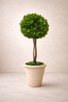 Decorative topiary in neutral tones