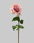 ST-WRO1RD1-LM1-20N-2