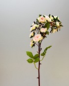 ST-WROM-WHP-185R-3jpg