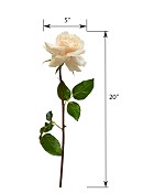 ST-WRO1RD1-CR1-20N-4