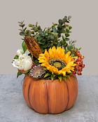 Pumpkin-Patch-Sunflower-5