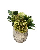 Bark & Blossom - White