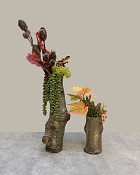 Tall-Woodland-Elegence-4