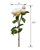 ST-W4ENRO-CH-225R-55