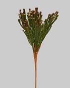 ST-85BNA-GRB-15-3jpg