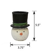 CT-4560-SNW-XM-55-55