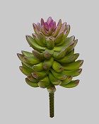 ST-WSU1-GRP-75R-2jpg